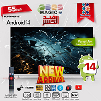 Magic World TP.SK529.PB803 MG55V030FSBT2/14 SMART TV Firmware